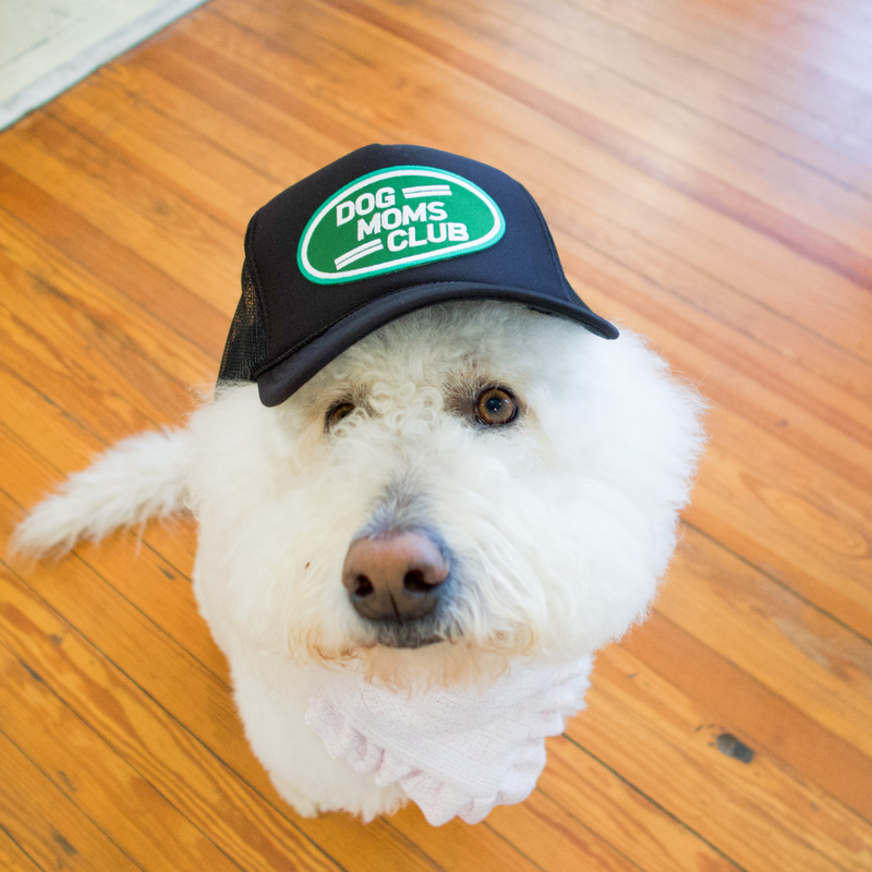 Dog Moms Club Hat