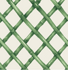 Green Lattice Cocktail Napkins