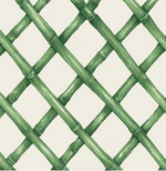 Green Lattice Cocktail Napkins