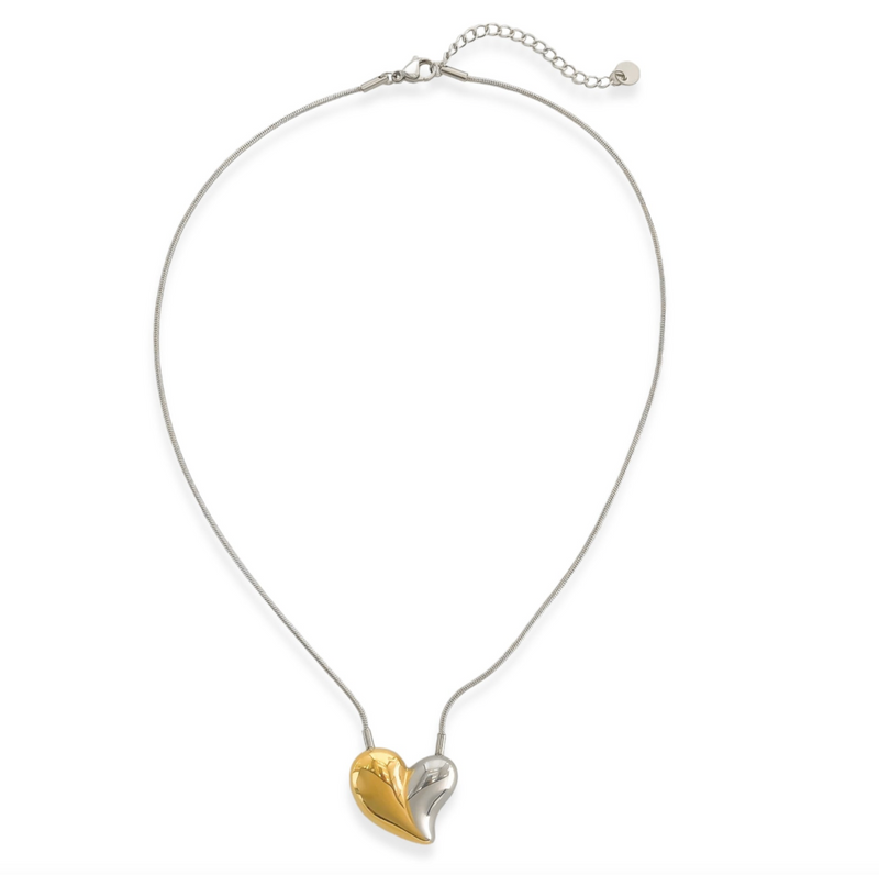 Silver & Gold Heart Necklace 16N009 - Water Resistant