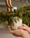 Frasier Fir Poured Candle, 6.5 oz Pine Needle
