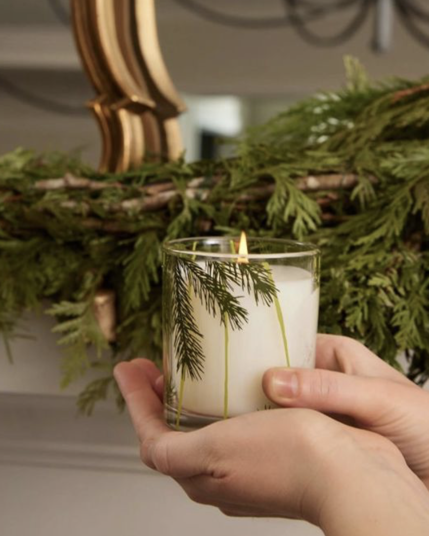 Frasier Fir Poured Candle, 6.5 oz Pine Needle