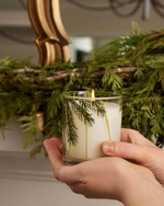 Frasier Fir Poured Candle, 6.5 oz Pine Needle