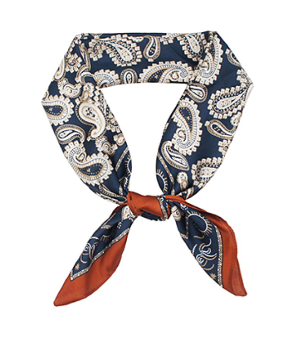 Navy Paisley Border Scarf